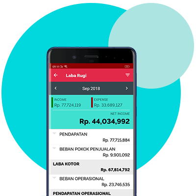 accurate lite laba rugi